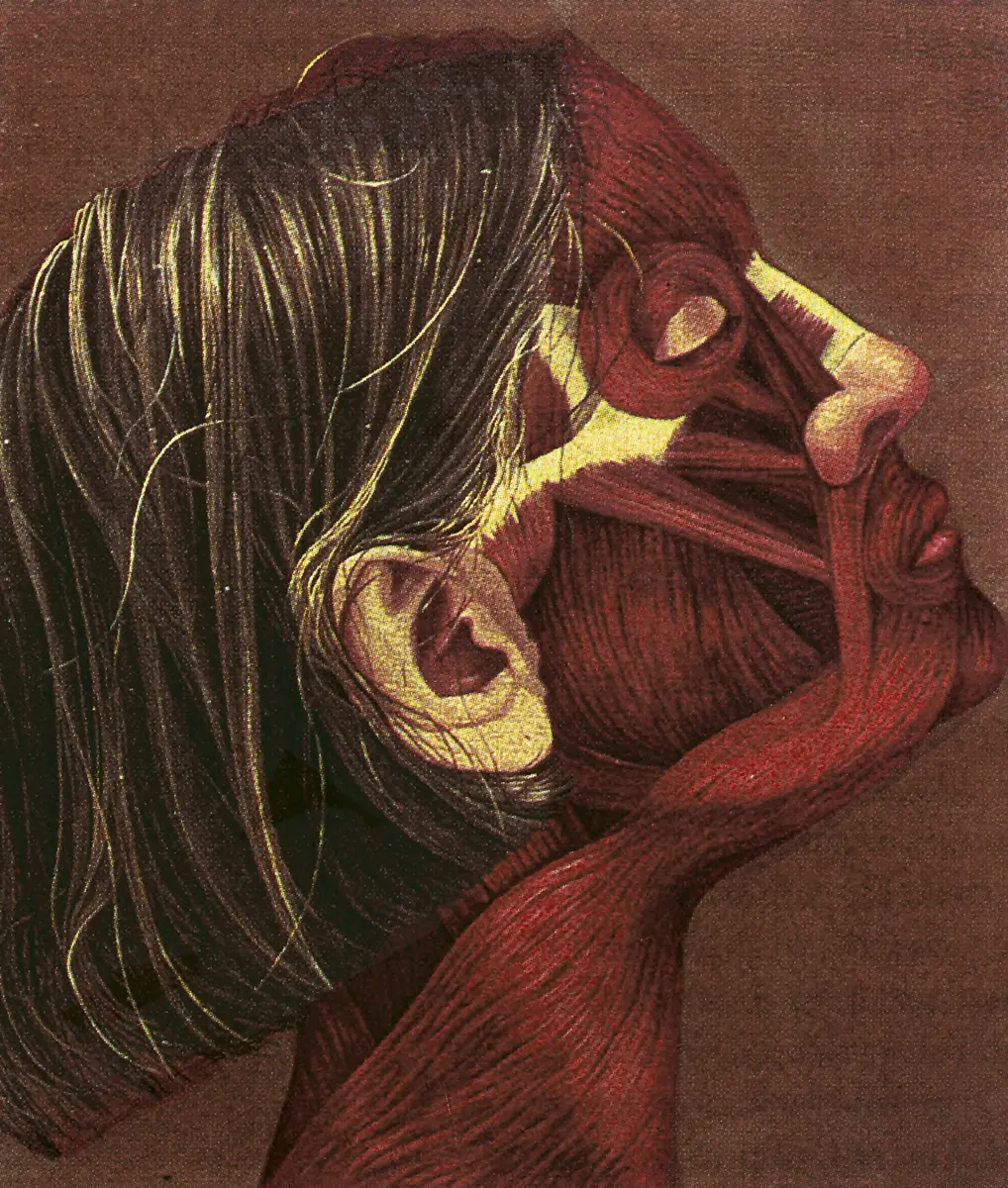 Monografía: Mónica Castillo — imagen 2
