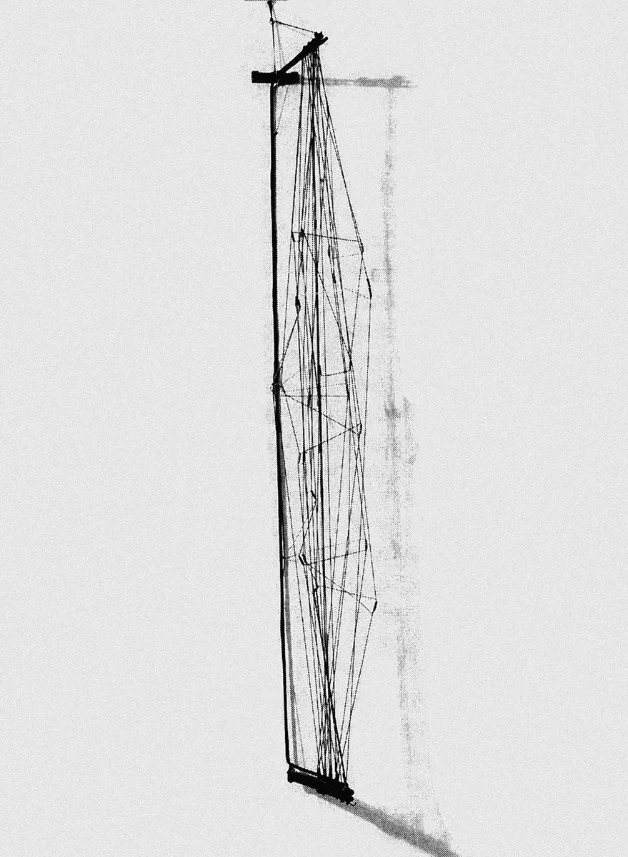 Monografía: Gego  — imagen 3