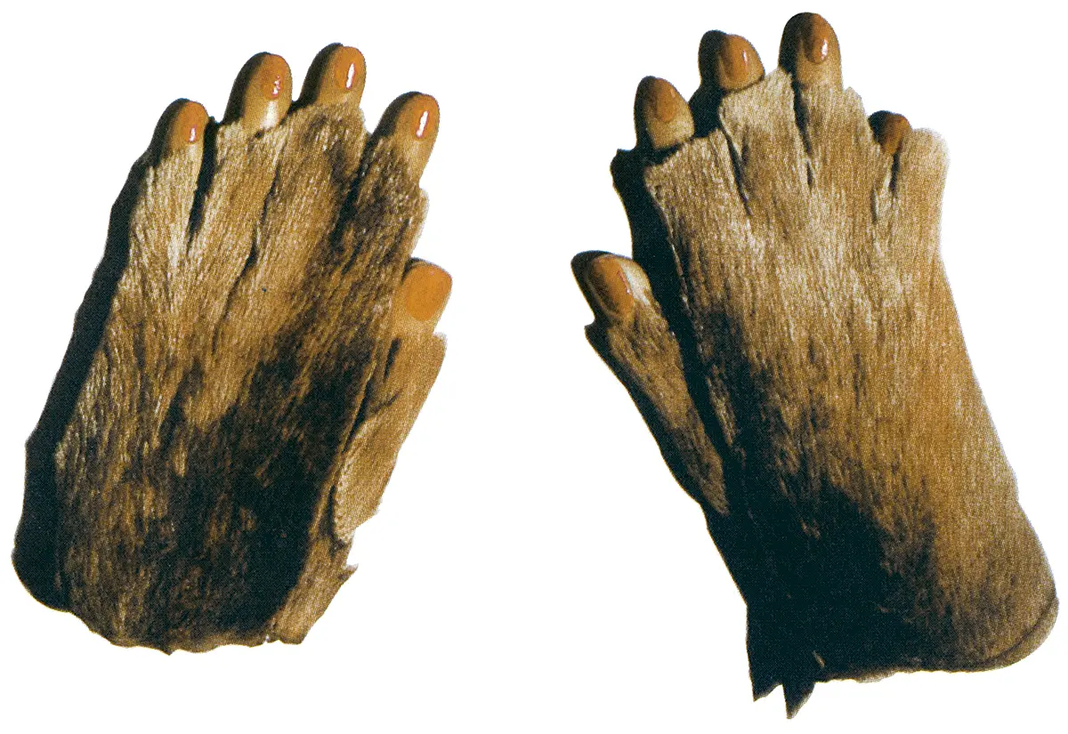 Monografía: Meret Oppenheim — imagen 2