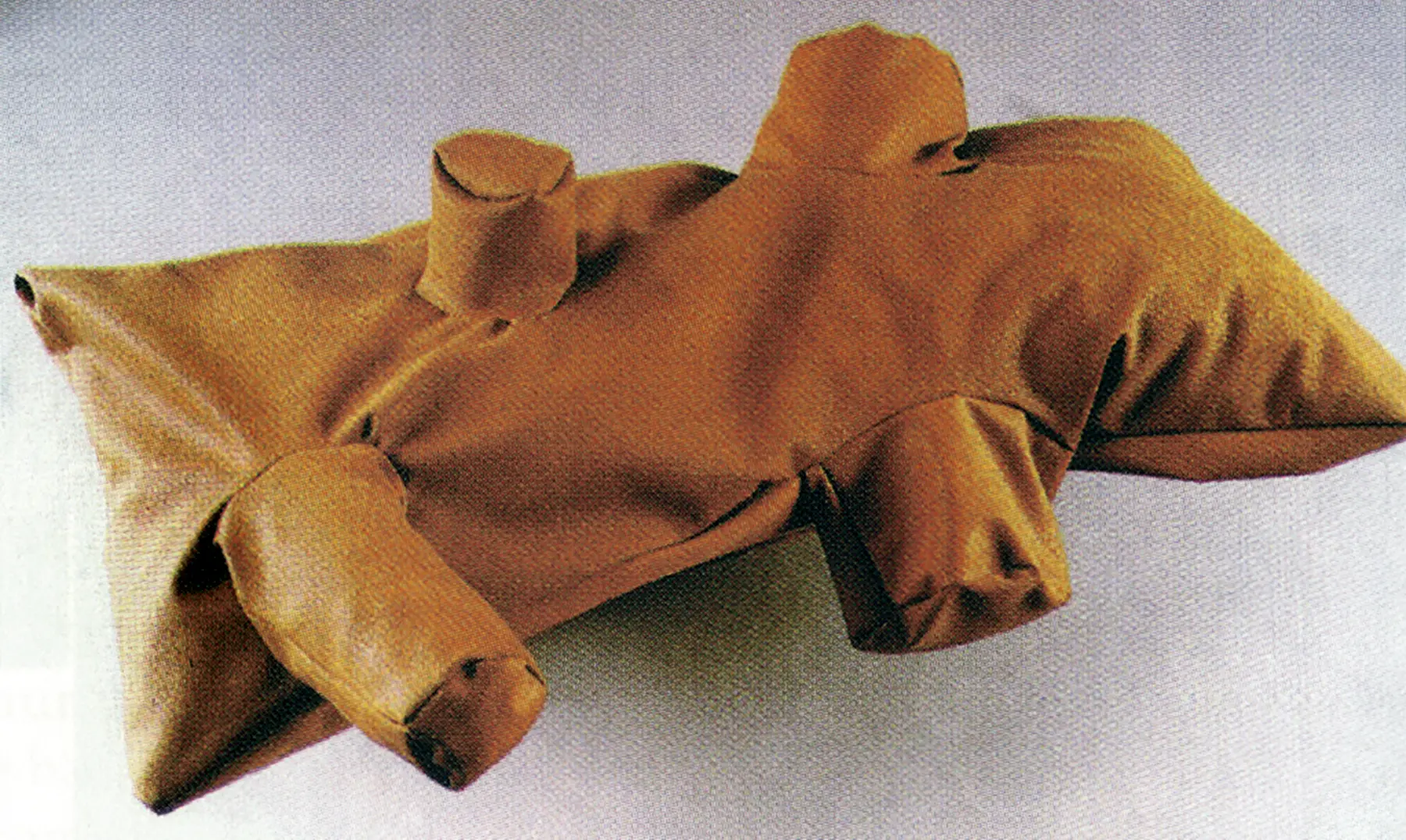 Objetos ambiguos en el arte argentino de los 90's