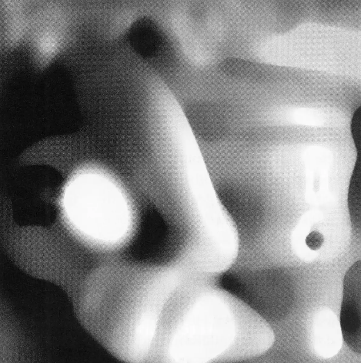 Monografía: Objetos ambiguos en el arte argentino de los 90's — imagen 2