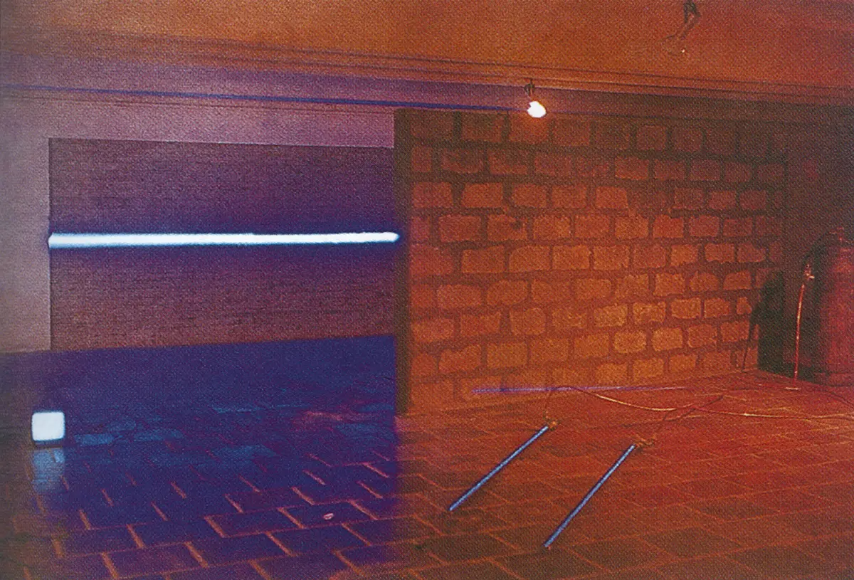Exposición: II Bienal del Mercosur — imagen 5