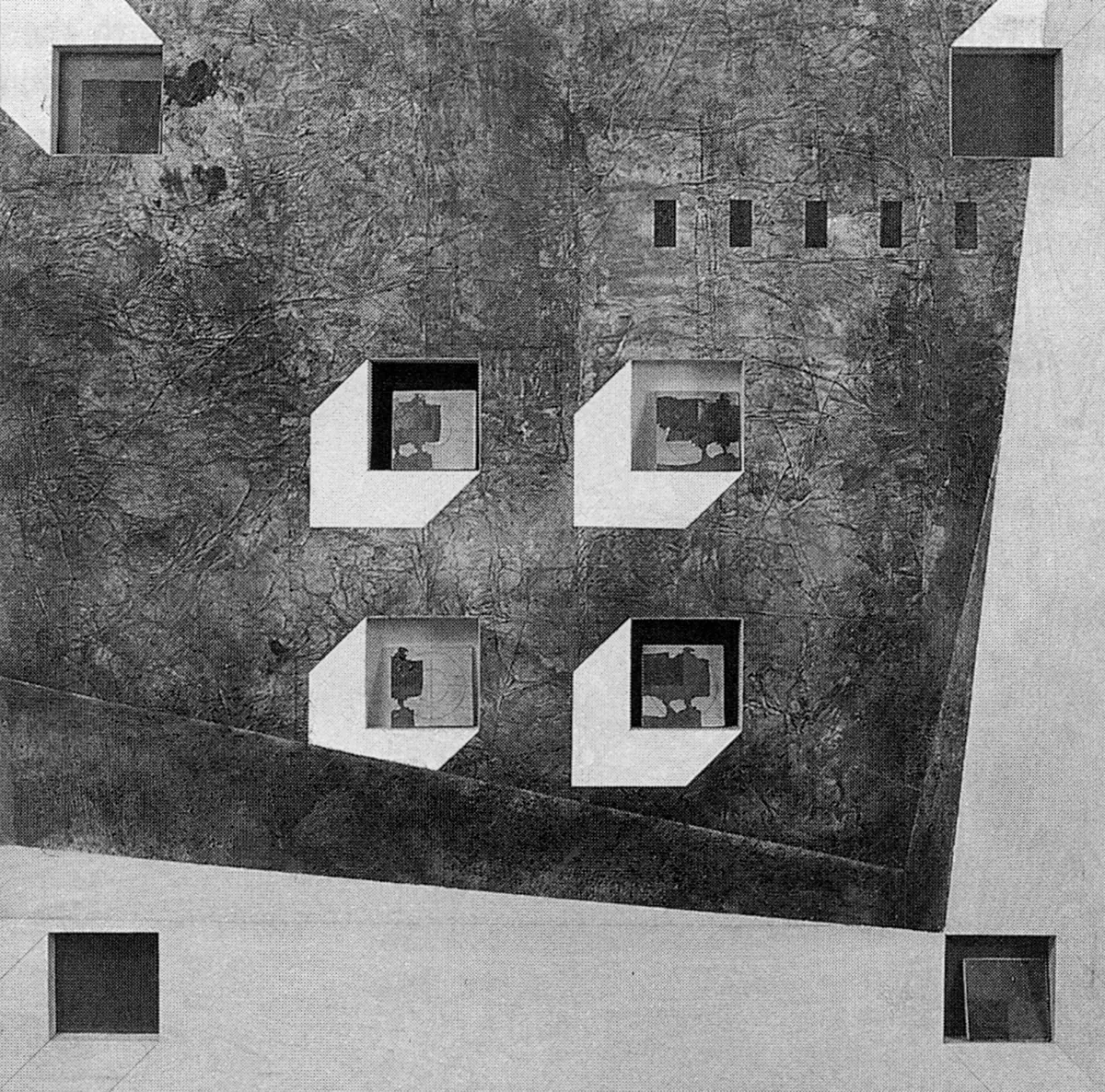 Exposición Individual: Carlos Salas — imagen 1