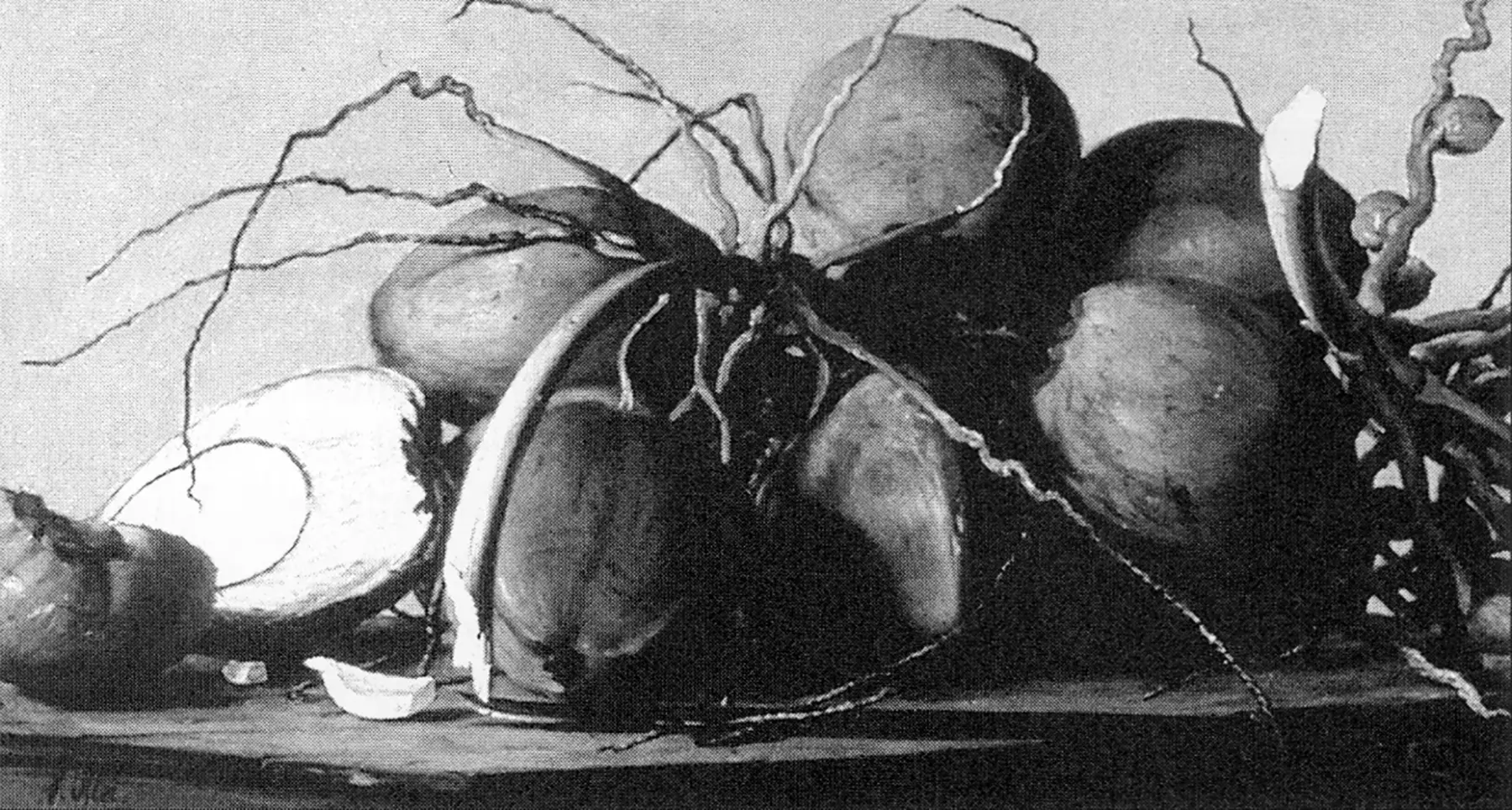 Latin America Still Life - Reflections of Time and Place