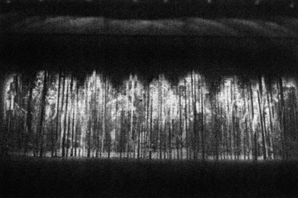 Colectiva: 34 ARC (Artistas Rosarinos Contemporáneos) — imagen 2