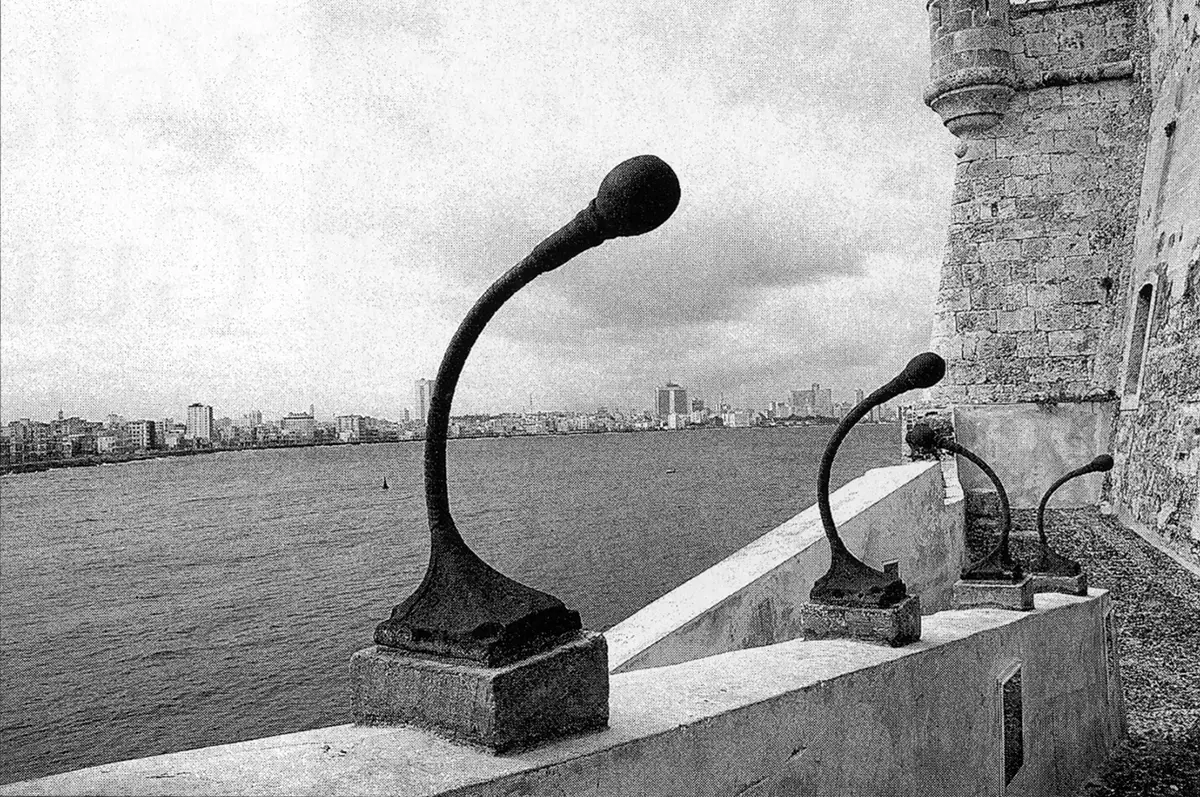 Bienal: La órbita de la Septima Bienal de La Habana — imagen 7