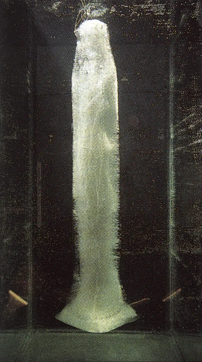 Bienal: VII Bienal de Arte de Bogotá — imagen 2