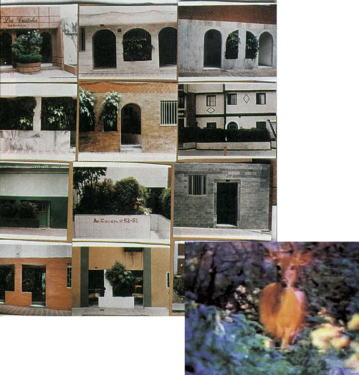 Monografía: V Bienal de Bogotá  — imagen 1