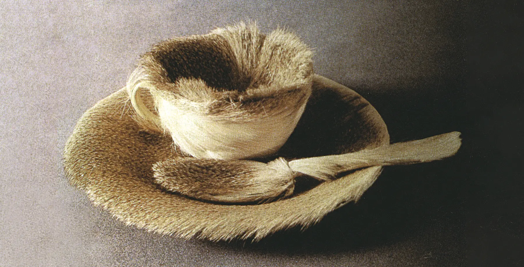 Meret Oppenheim