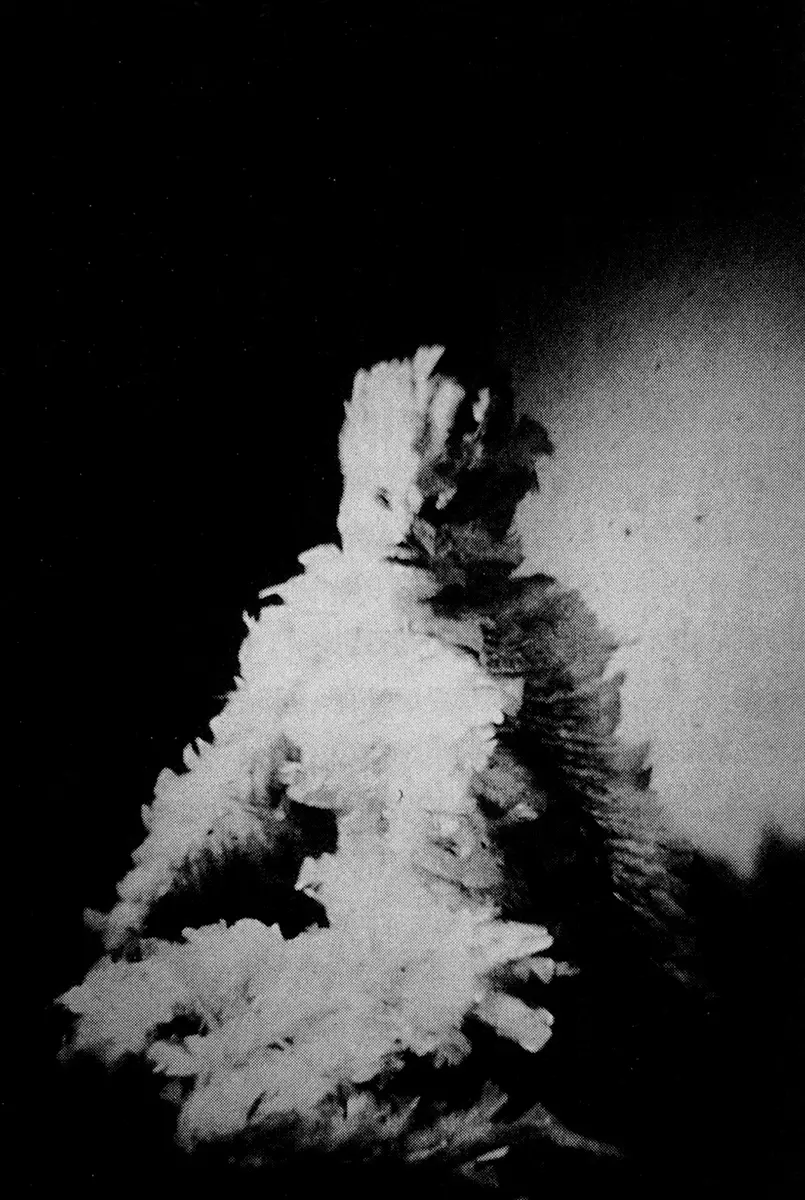 Exposición Individual: Ana Mendieta — imagen 1