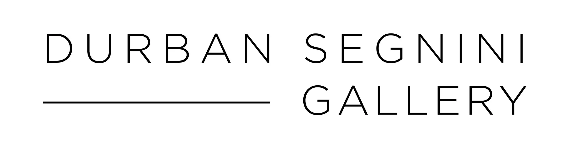 Logo de Durban Segnini Gallery
