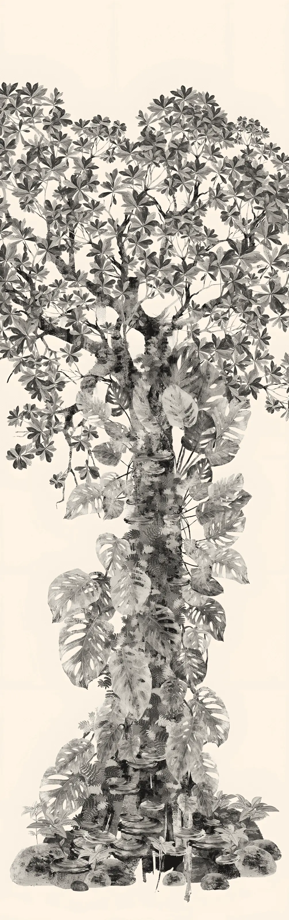 Caracolí