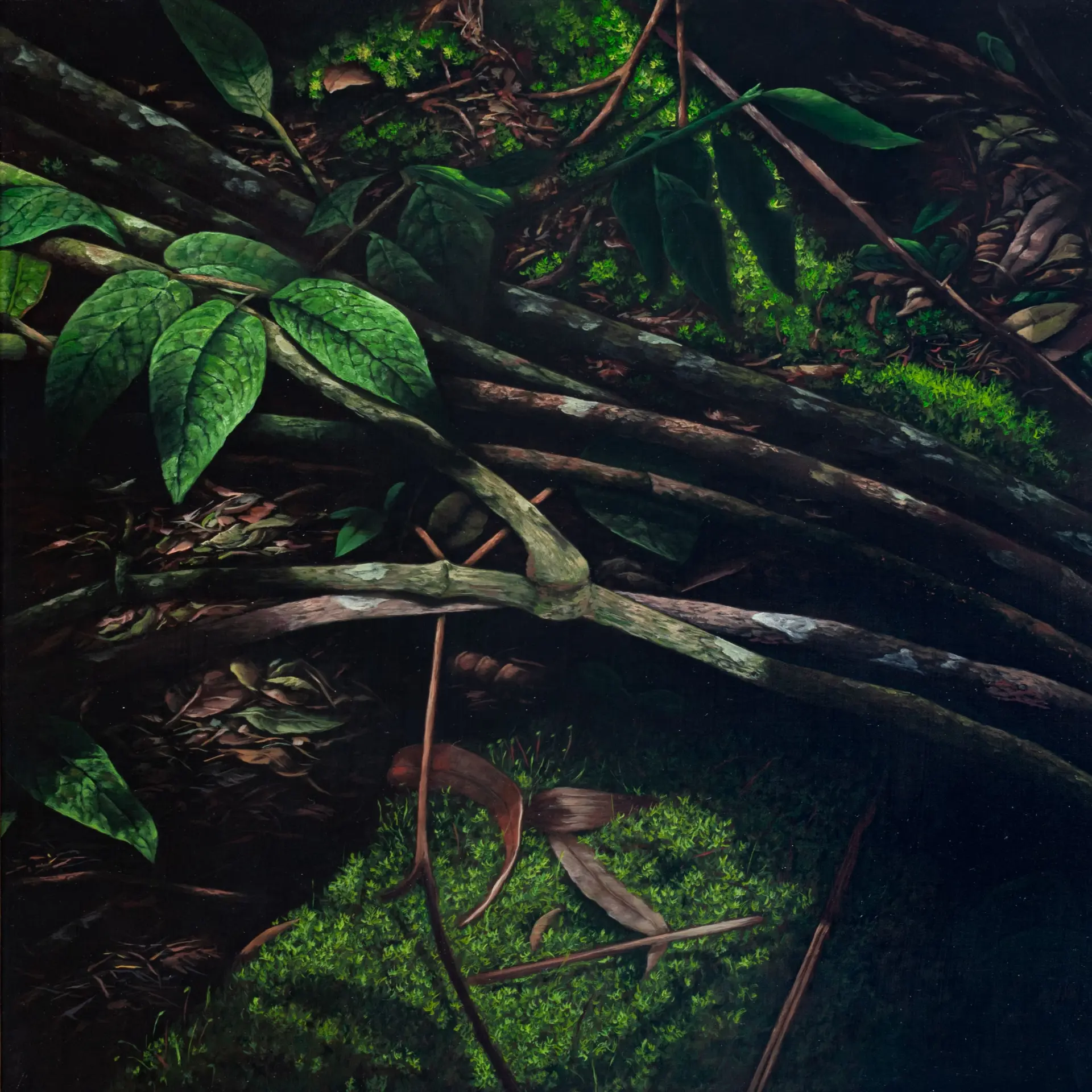 Matorral XXVII