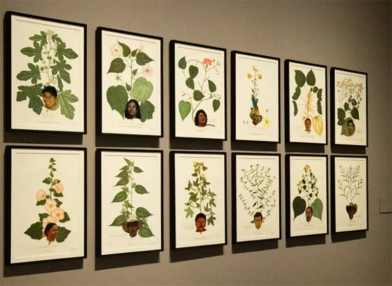 Imagen 1 - Sandra Gamarra: Pinacoteca migrante