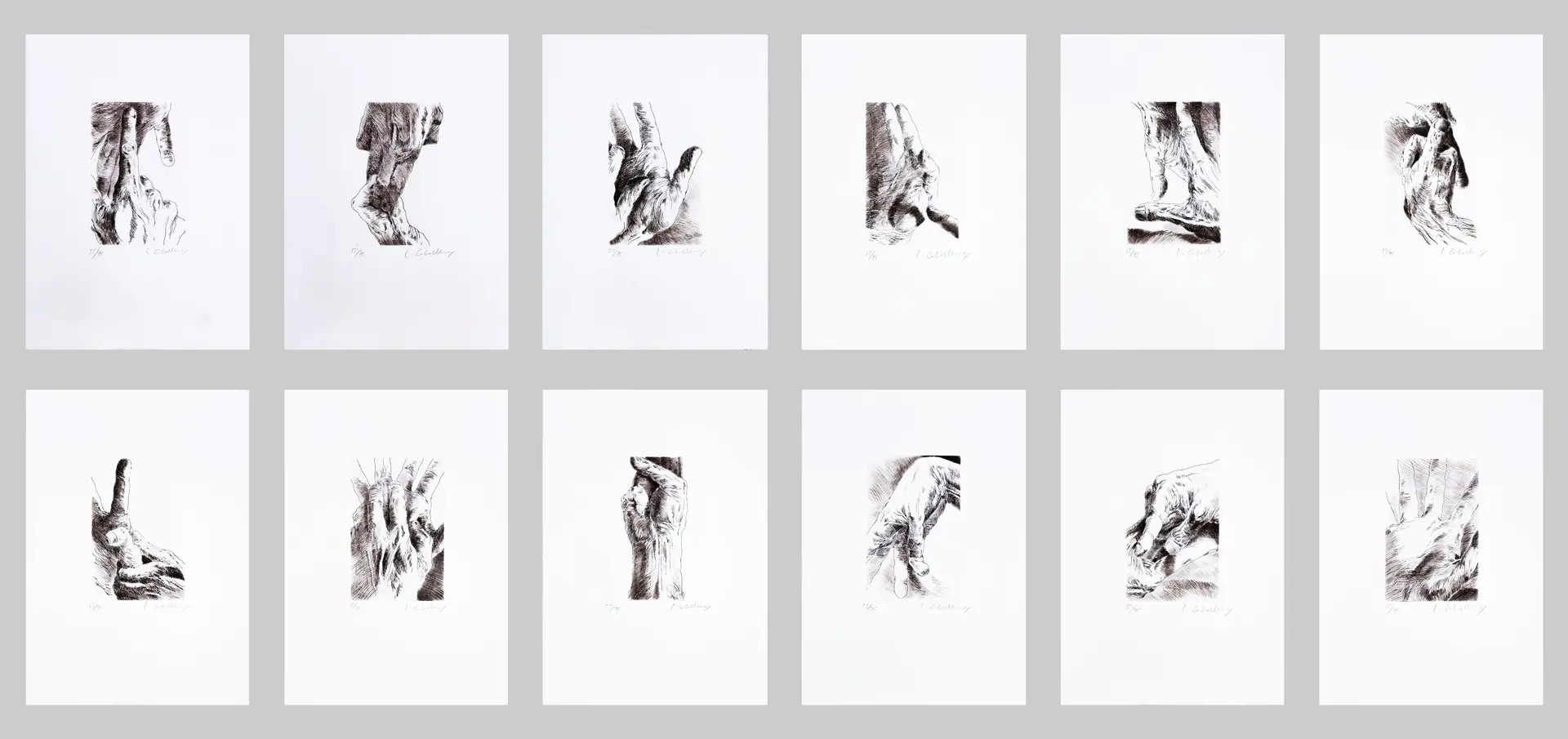 Douze eaux-fortes (Carpeta Edición Galerie Jade, París, con 12 grabados)