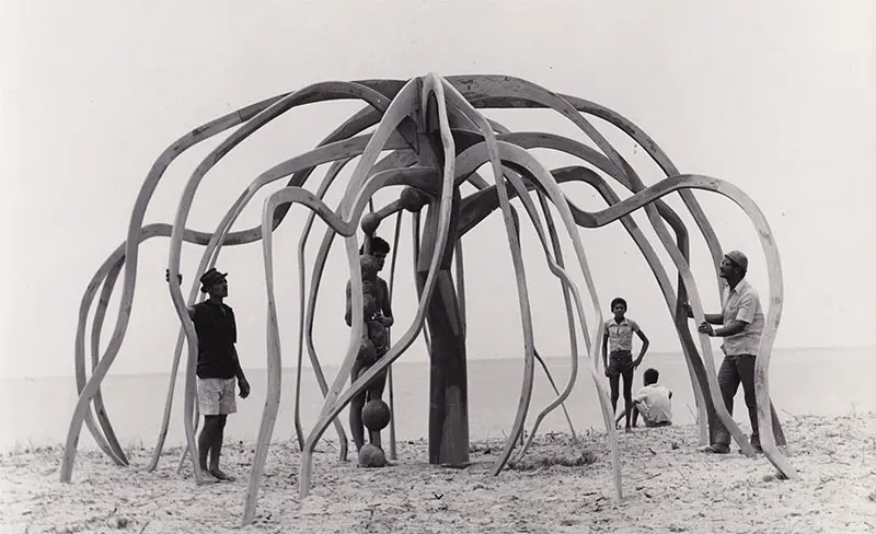 Frans Krajcberg: Redescubrir el árbol