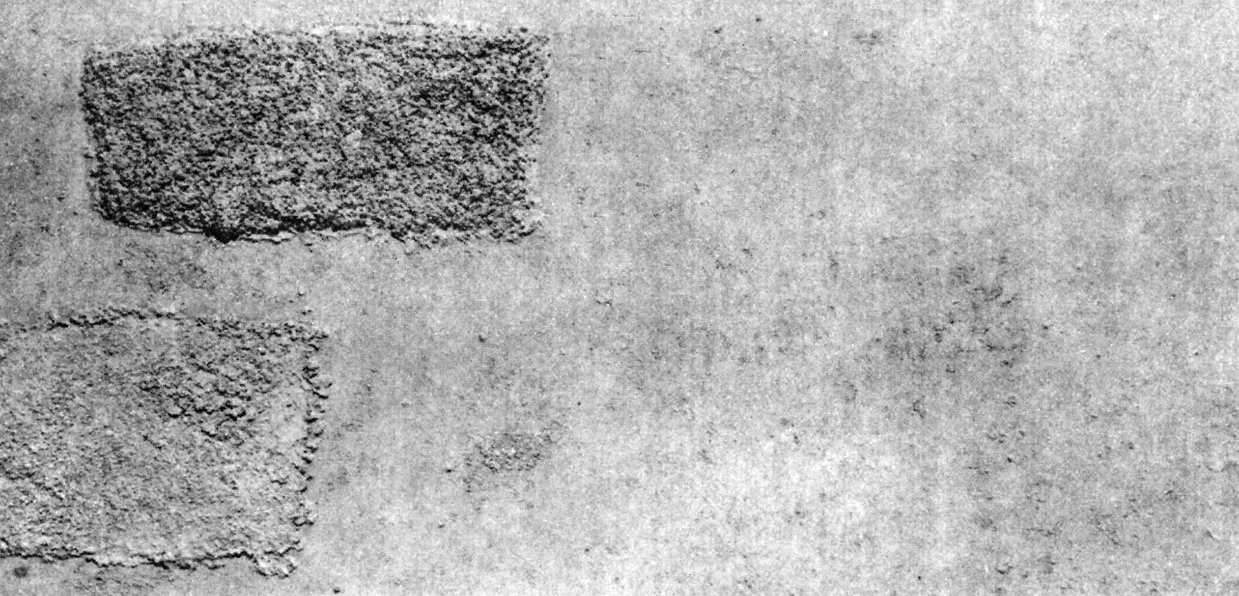 Mira Schendel