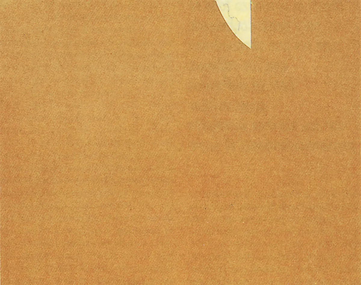 Monografía: Mira Schendel — imagen 3