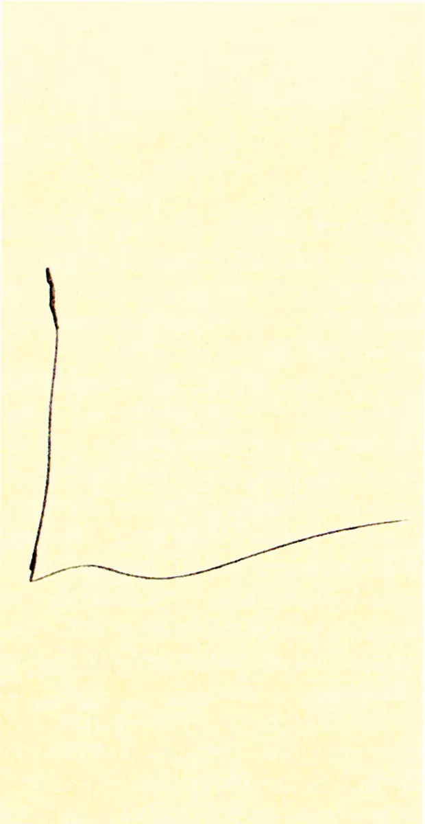 Monografía: Mira Schendel — imagen 2