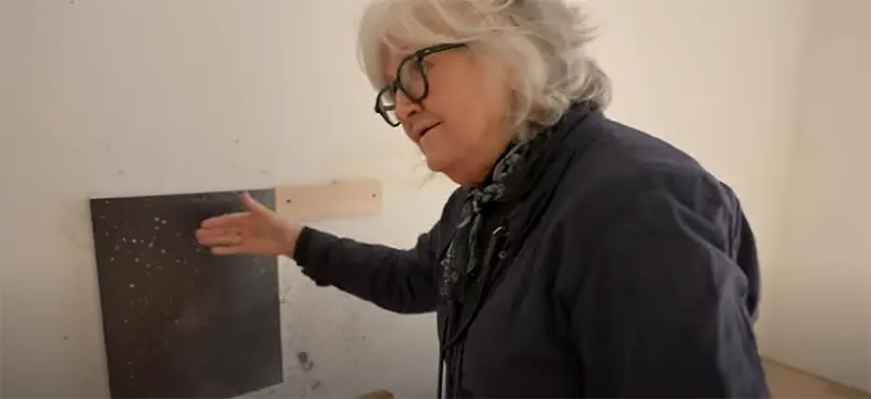 Vija Celmins