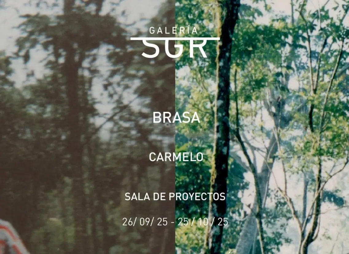 Imagen 2 de SGR Galería