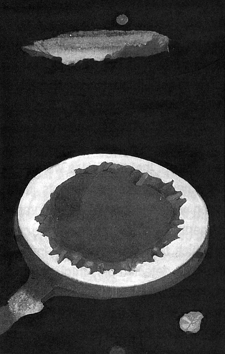 Exposición Individual: José Horacio Martínez — imagen 1