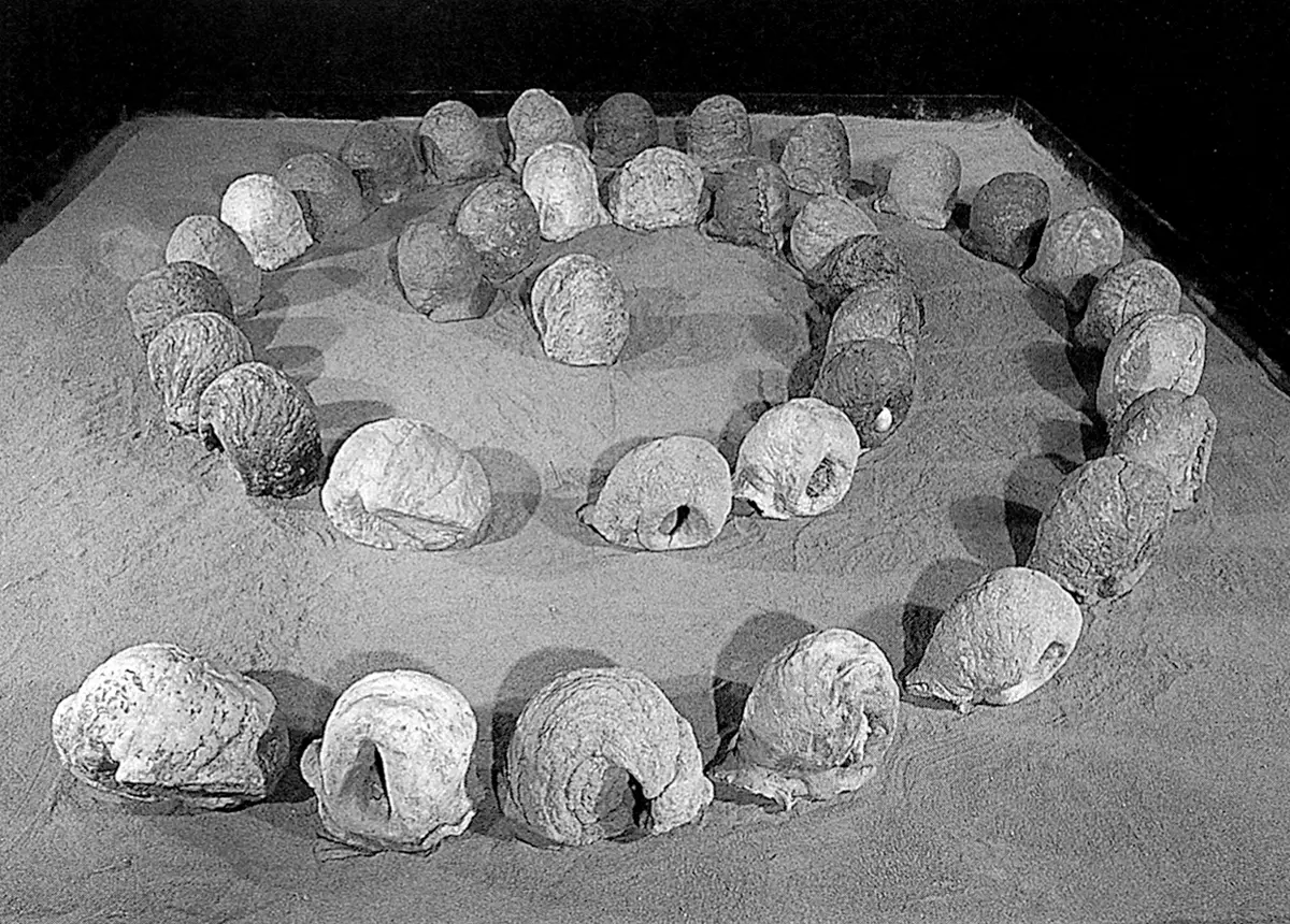 Exposición: Barro de América — imagen 4