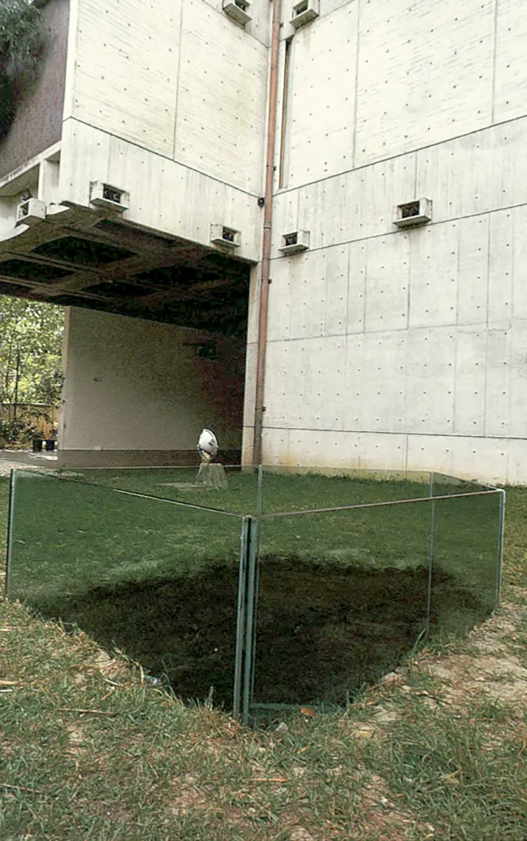 Exposición: Intervenciones en el espacio — imagen 2