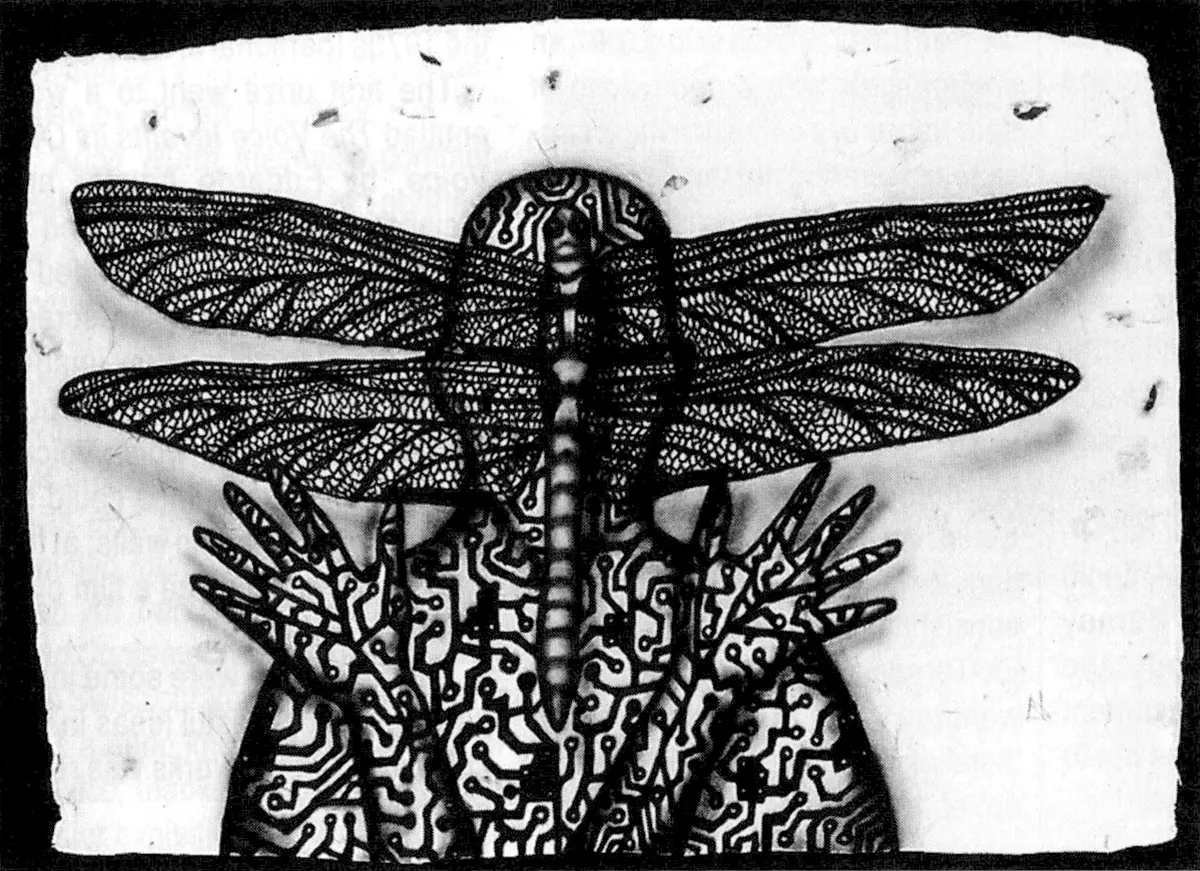 Exposición Individual: José Franco — imagen 1