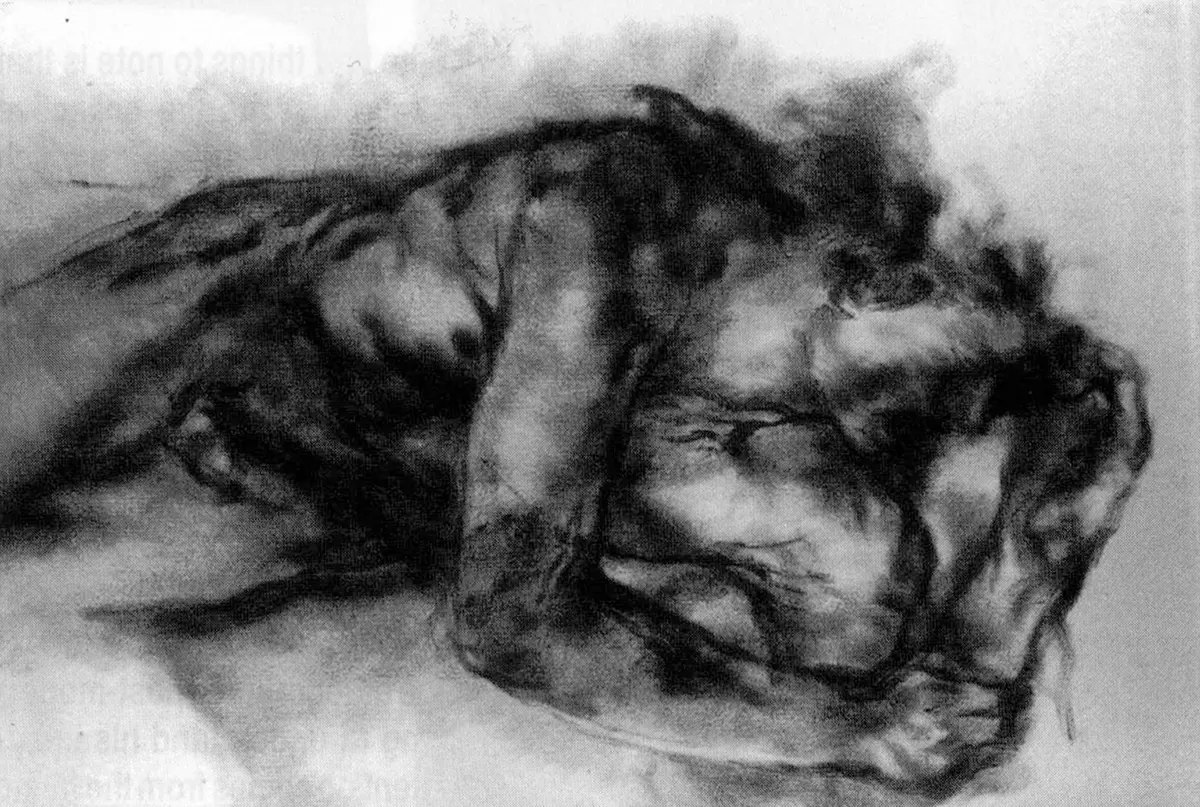Exposición Individual: Luis Caballero — imagen 1