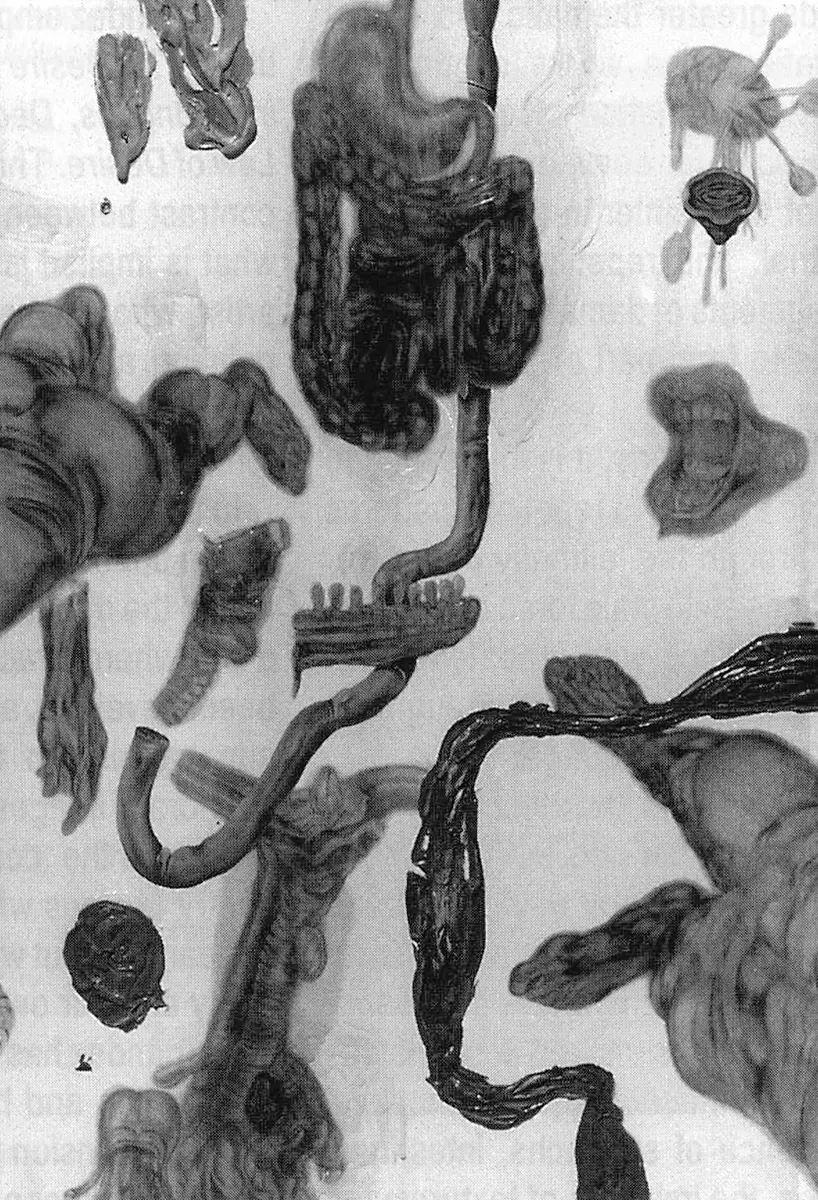 Exposición Individual: Miguel Hernández — imagen 1