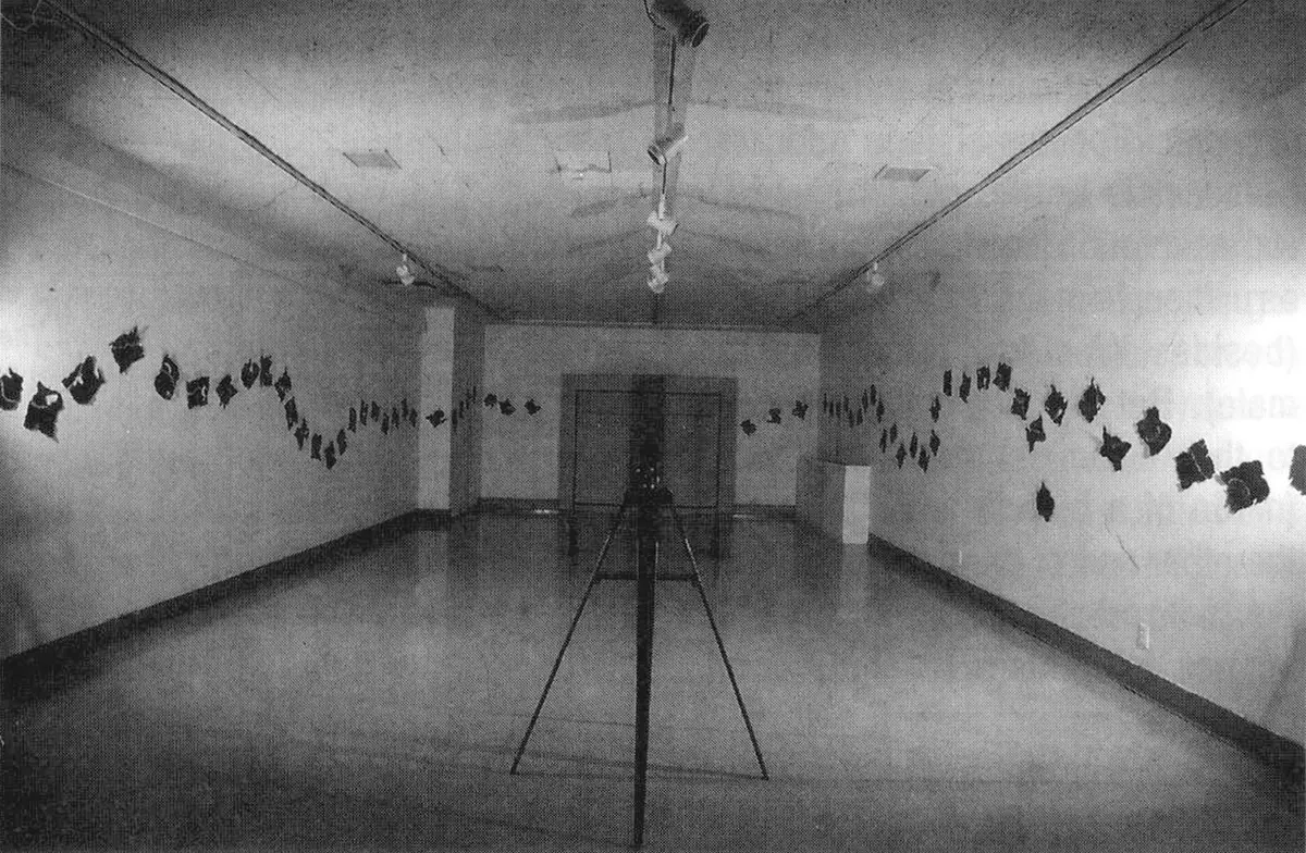 Exposición Individual: Gladys Triana — imagen 1