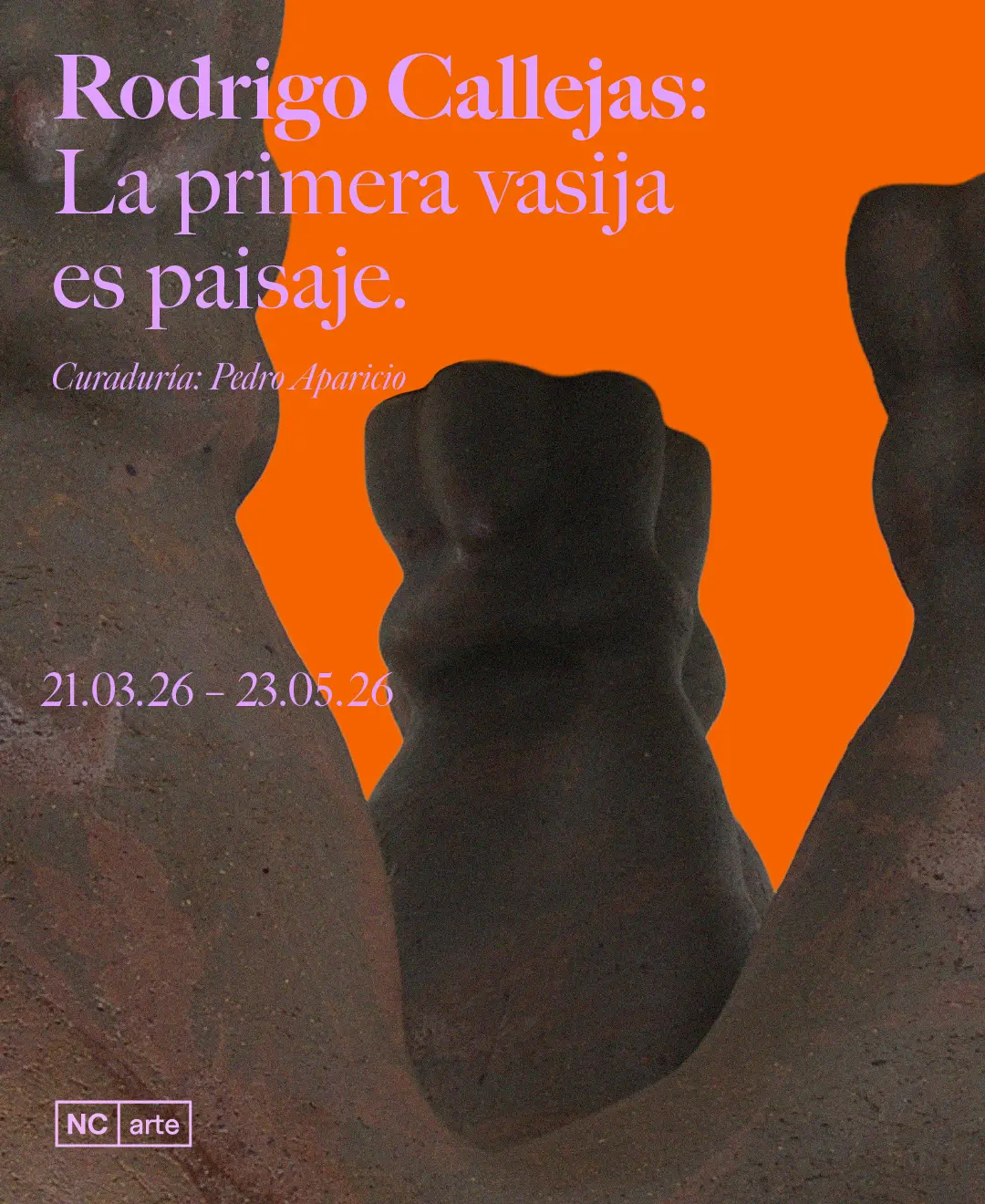 Imagen 1 de NC arte