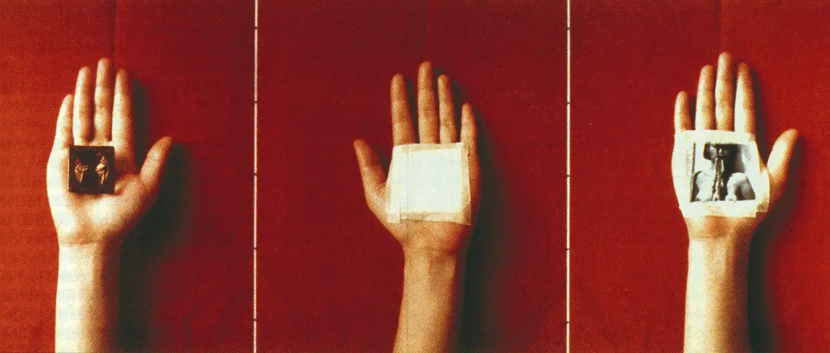 Exposición: Eugenia Vargas — imagen 1