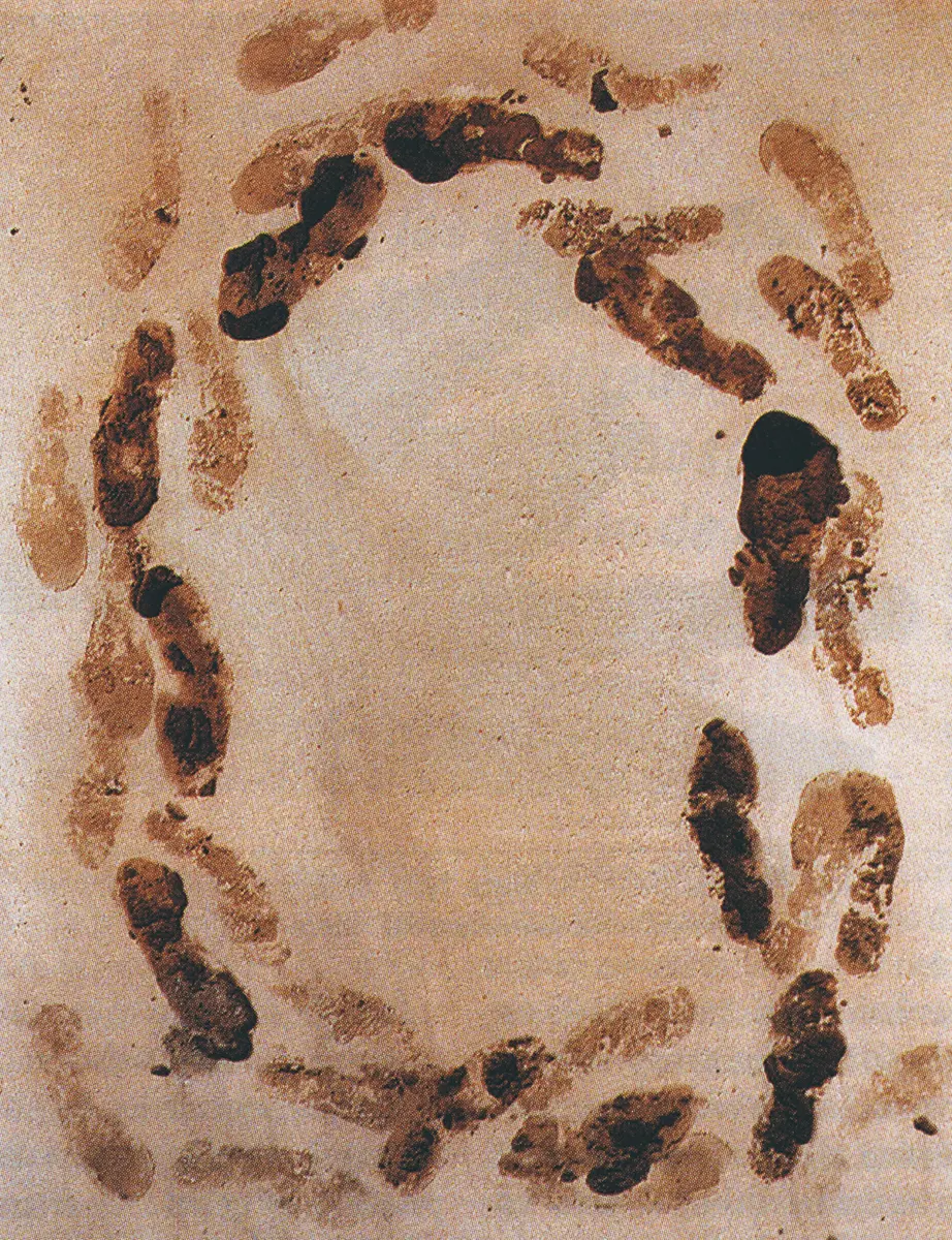 Exposición: Antoni Tàpies — imagen 2