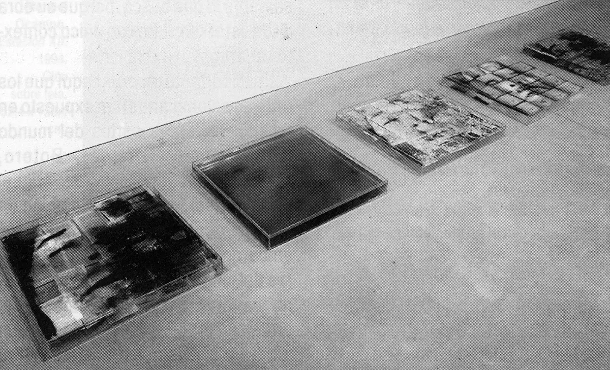 Exposición Individual: Óscar Muñoz — imagen 1