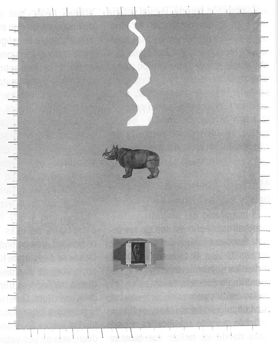 Exposición Individual: Ofelia Rodríguez — imagen 1