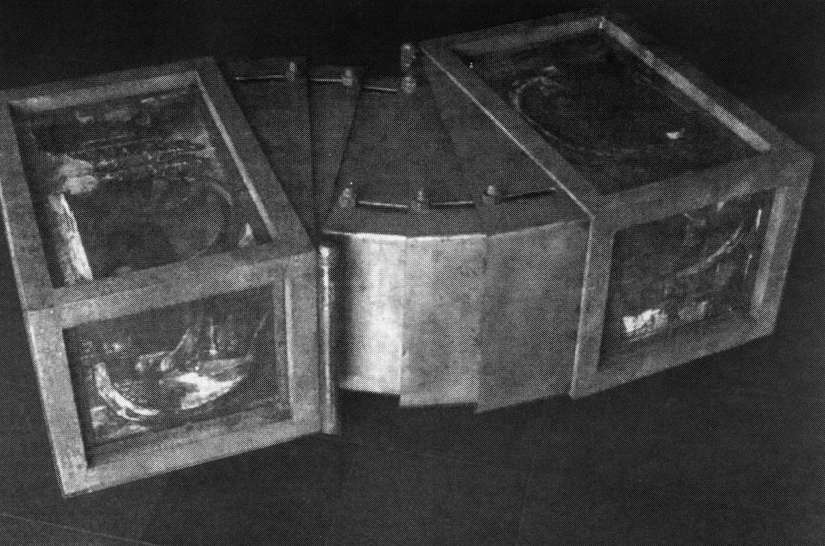 Colectiva: Bienal de Mérida — imagen 1