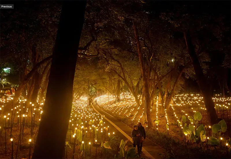 Rafael Lozano-Hemmer: Jardín inconcluso