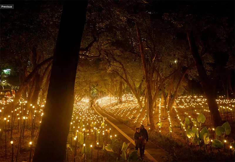 Rafael Lozano-Hemmer. “Jardín inconcluso”. Museo de Arte Moderno