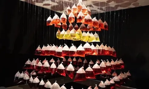 Instalacion Artista Carlos Villabon