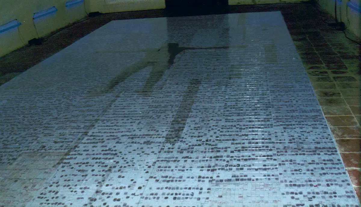 Monografía: La V Bienal de La Habana — imagen 1