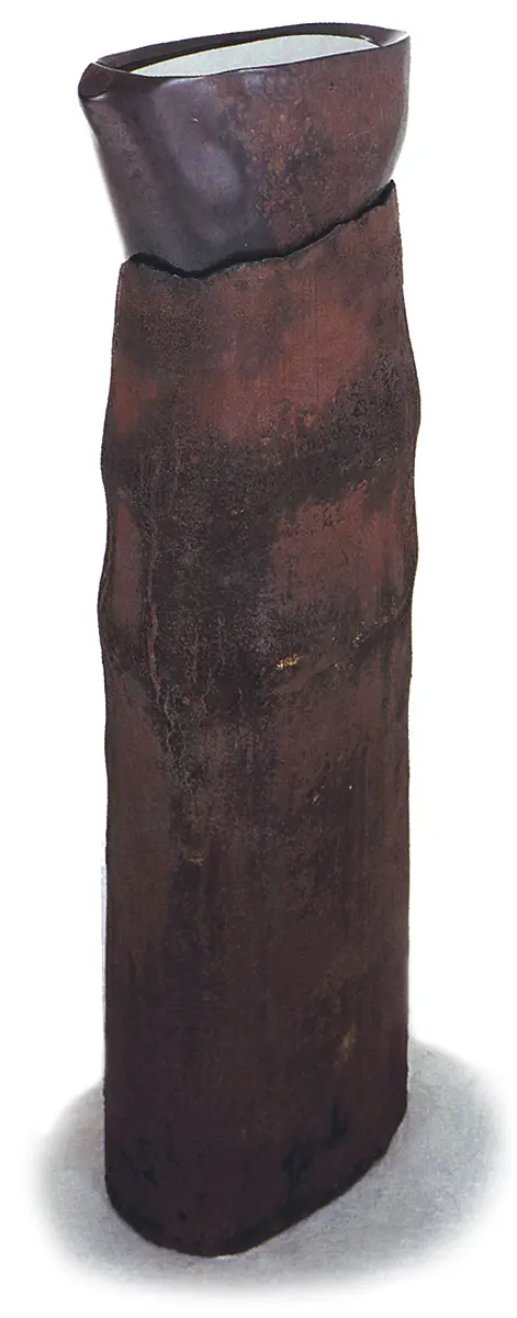 Hugo Zapata