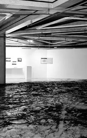 Exposición Individual: Artur Barrio — imagen 1