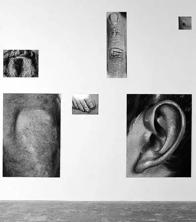 Exposición Individual: Mónica Castillo — imagen 1