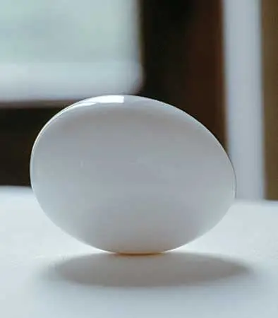 Exposición: "Slow" Art — imagen 7