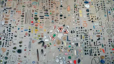 Exposición: Gabriel Orozco — imagen 3