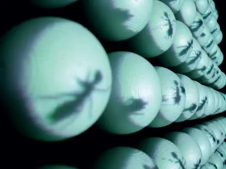Otros: Acerca del arte electrónico en la Argentina — imagen 1