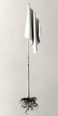 Otros: El ojo cercenado de la luna: la obra fotográfica de Chema Madoz — imagen 9