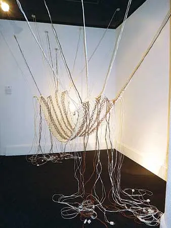 Bienal: 8ª Bienal de Artes Visuales del Istmo Centroamericano — imagen 2